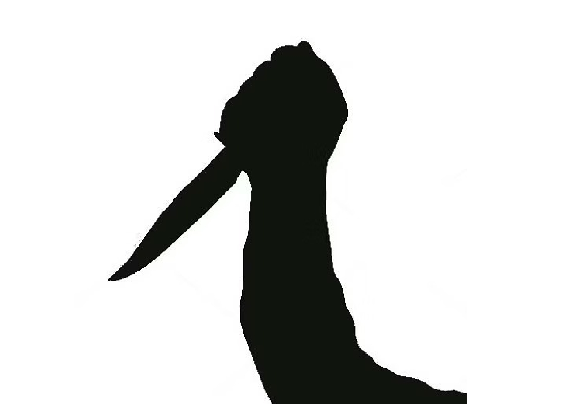 Son Kills Mother After Drunken Argument in Gadag - News Karnataka
