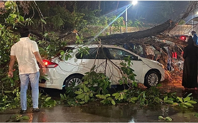 Traffic Disruption in Kollamogru Due to Banyan Tree Branch - News Karnataka