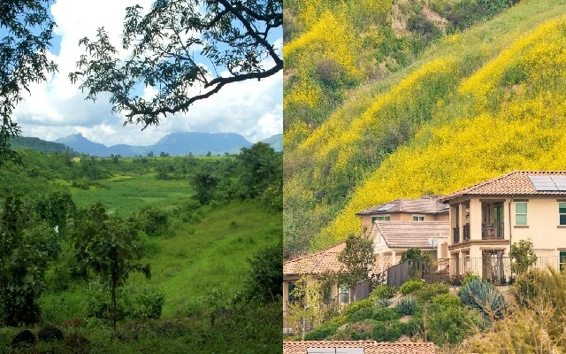 Surge in Unregulated Homestays in Karnataka’s Western Ghats - News Karnataka