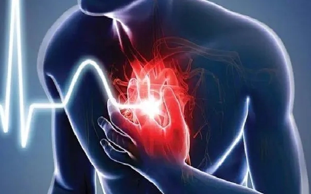 Rickshaw Driver Dies of Heart Attack at Railway Station - News Karnataka