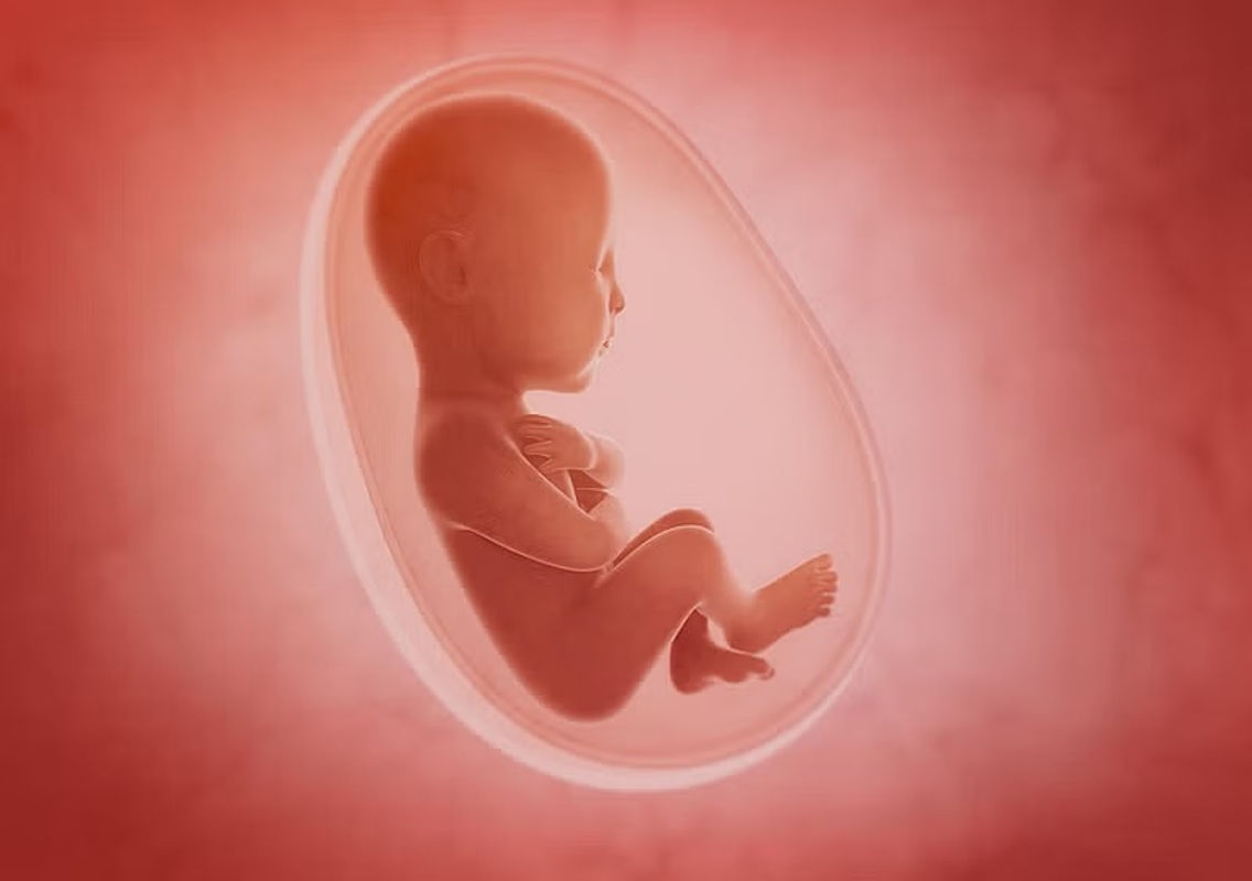 10 Accused Arrested in Female Foeticide Case; Judicial Custody Ordered - News Karnataka