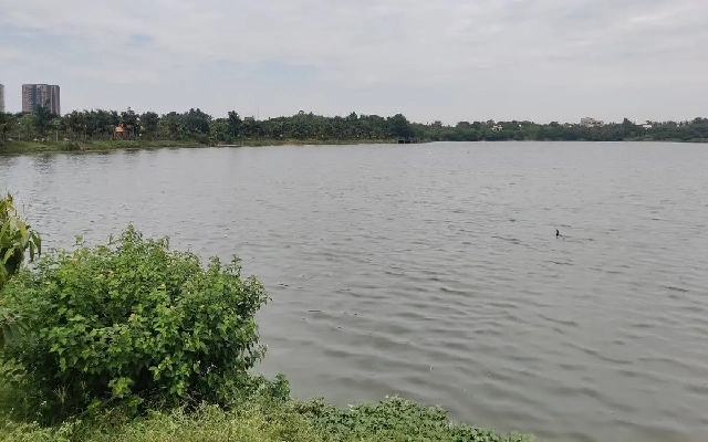 Bengaluru’s Lake Restoration Efforts Criticized for Ineffective Design - News Karnataka
