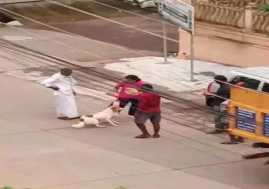Outrage in Mangaluru as Dog Thrown into Garbage Truck by Owner - News Karnataka
