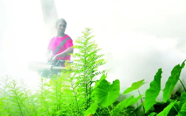Dengue Cases Rising in Kodagu; Health Officials Urge Vigilance - News Karnataka