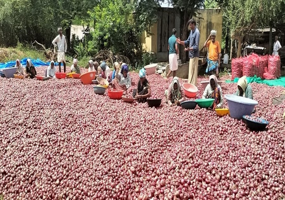Onion Harvest Begins in Hoovinahadagali Taluk with Promising Returns - News Karnataka