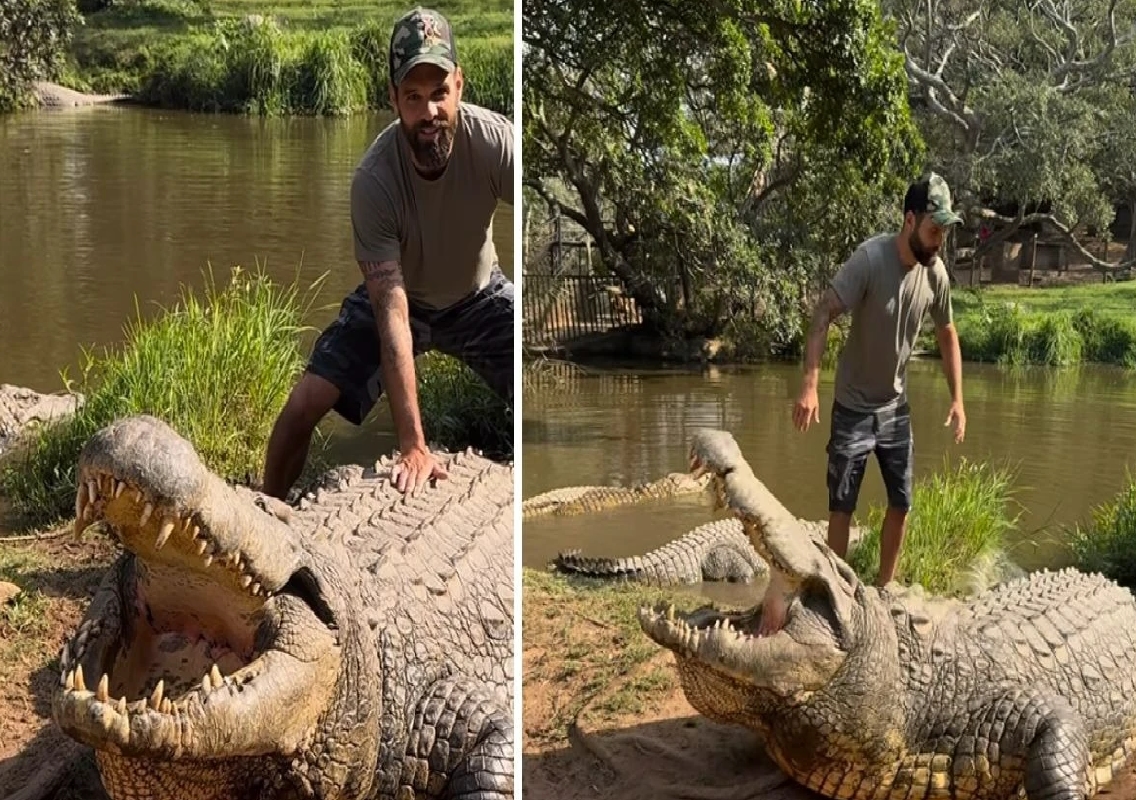 Robert Alleva's Brave Encounter With 124-Year-Old Nile Crocodile Goes Viral - News Karnataka