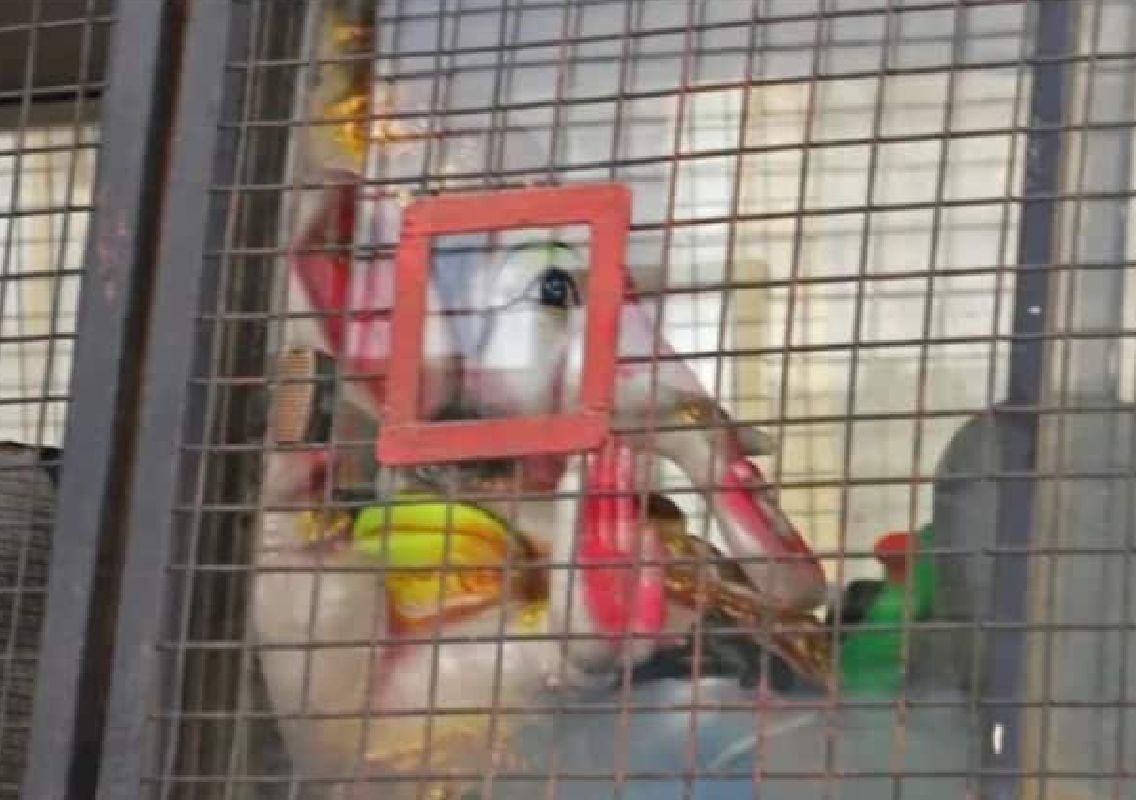 Ganesha Idol in Police Van Sparks Controversy Amid Bengaluru Protest - News Karnataka