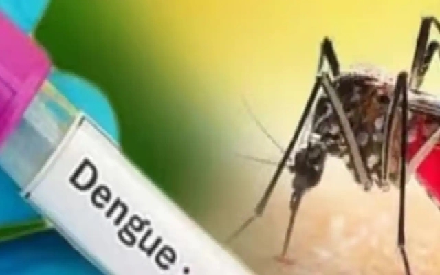 Dengue Cases Decline in Bengaluru Following Recent Surge - News Karnataka