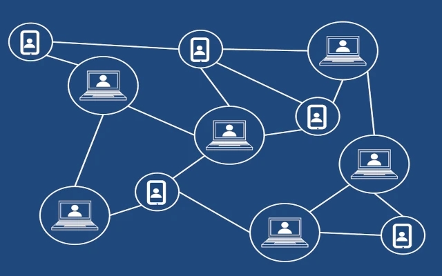 Why Are Memecoins Flocking to Solana? Exploring the Blockchain's Growing Trend - News Karnataka
