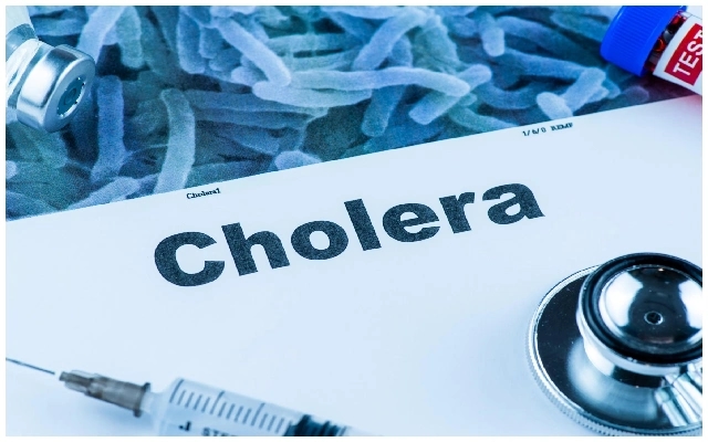 Cholera Cases Prompt Public Health Alert, DC Stresses Cleanliness - News Karnataka