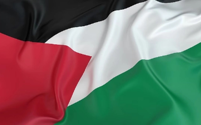 Man Booked for Wearing Palestine Flag T-shirt During Eid-Milad Procession in Davangere - News Karnataka