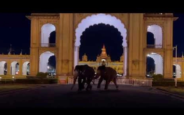 Tension Erupts as Elephants Clash at Mysuru Palace - News Karnataka