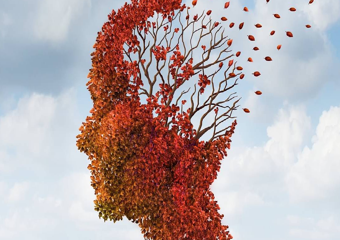 Karnataka's dementia cases set to double by 2036 amid delays in state action plan - News Karnataka