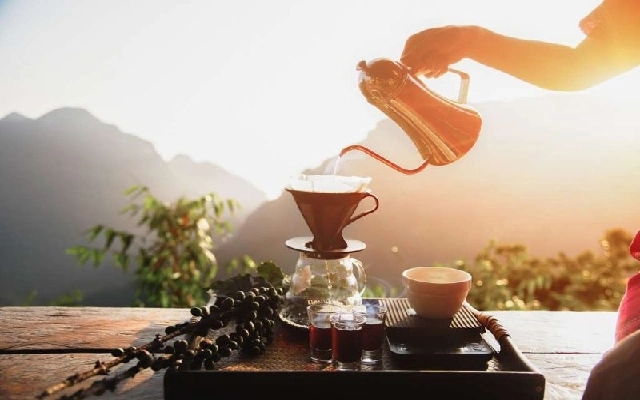 Researchers Develop Climate-Resilient Coffee Varieties Amidst Climate Changes - News Karnataka