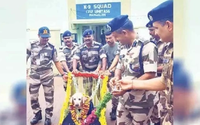 CISF Bids Farewell to Retired Labrador Julie After 8 Years of Service at Mangaluru Airport - News Karnataka