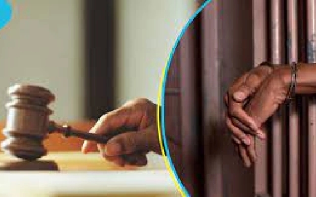 Kerala High Court Acquits Woman Accused of Murdering Her Children - News Karnataka