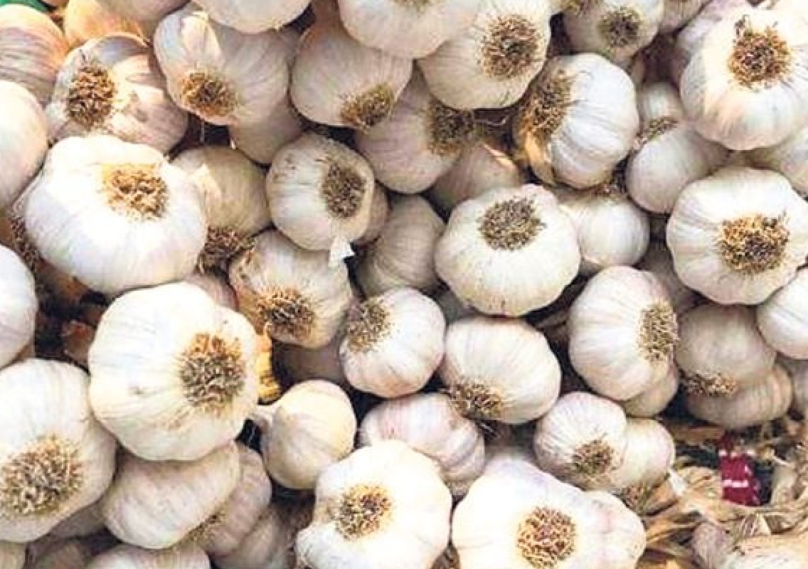 Shimoga: Authorities Seize 50 kg of Smuggled Chinese Garlic - News Karnataka