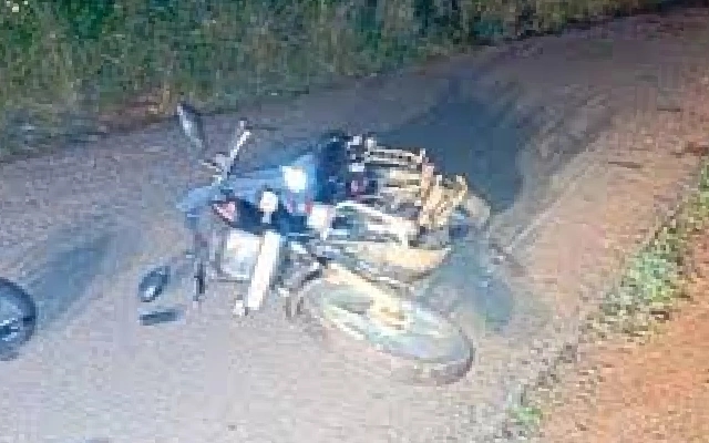 Bike Rider Injured in Collision with Stag on Panja-Guttigaru Road - News Karnataka