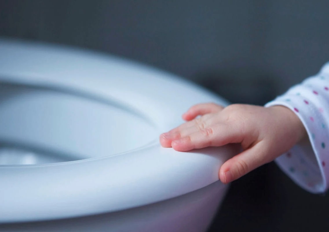 Himachal Pradesh Residents to Be Taxed Based on Number of Toilet Seats - News Karnataka