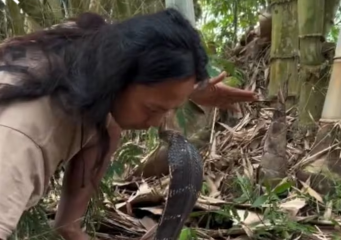 Viral Video Shows Man Fearlessly Interacting with Deadly Snake - News Karnataka