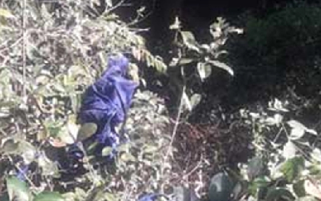 Skeletal Remains Found Hanging from Tree in Mangaluru - News Karnataka