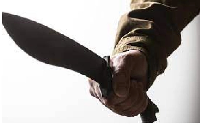 35-Year-Old Woman Fights for Life After Machete Attack by Husband - News Karnataka