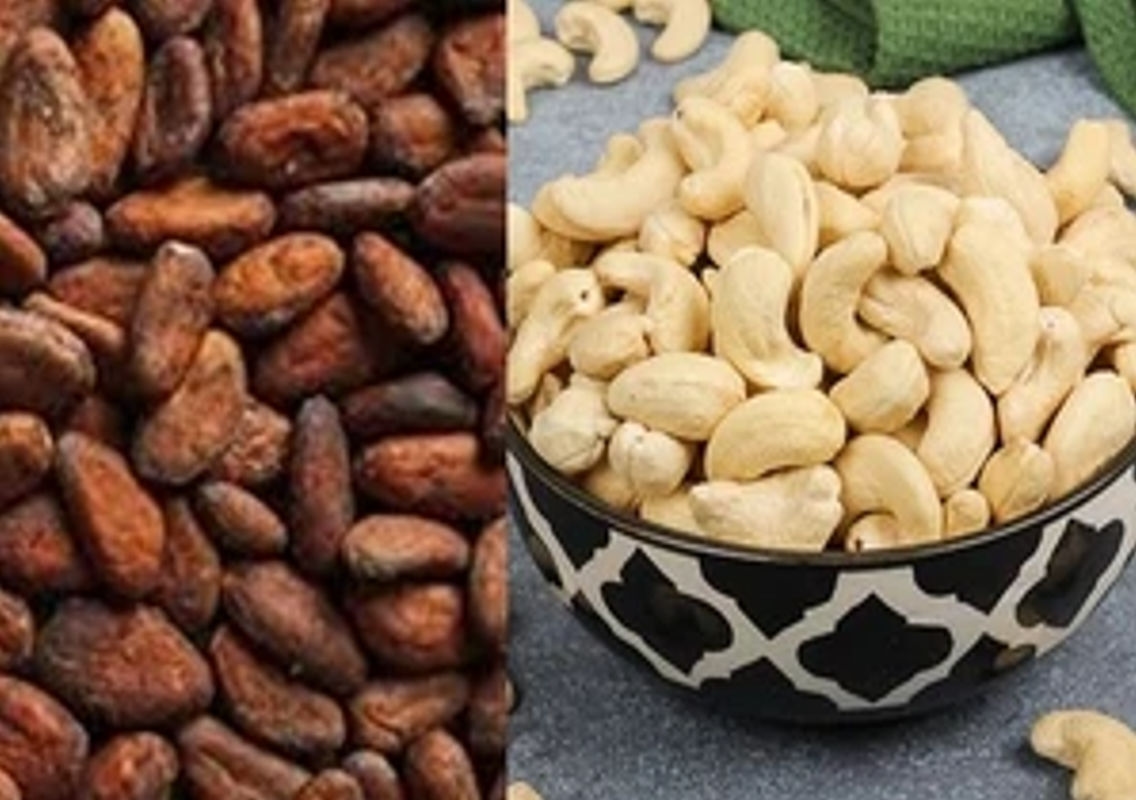 Ivory Coast and Ghana Strengthen Cocoa and Cashew Cooperation - News Karnataka