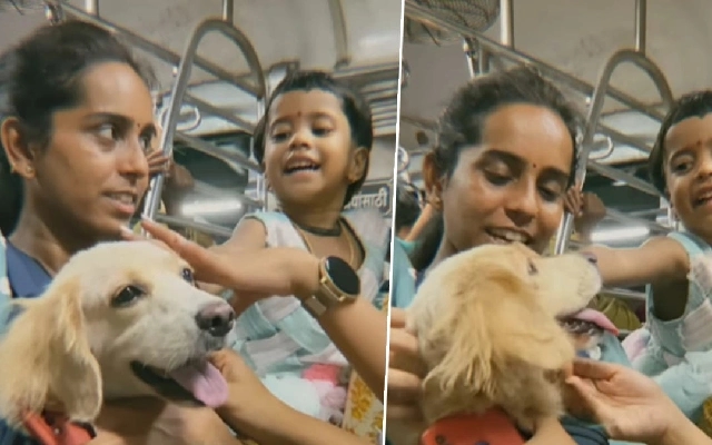 Minnie the Golden Retriever Steals Hearts on Mumbai Local Train - News Karnataka