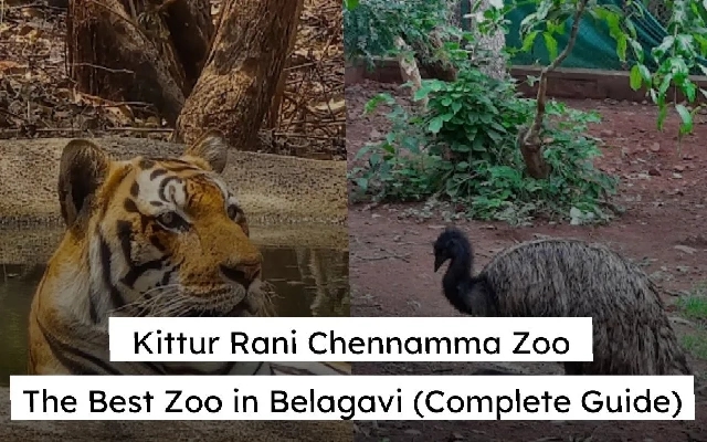 Kittur Rani Chennamma Mini Zoo Gains Popularity Among Wildlife Enthusiasts - News Karnataka