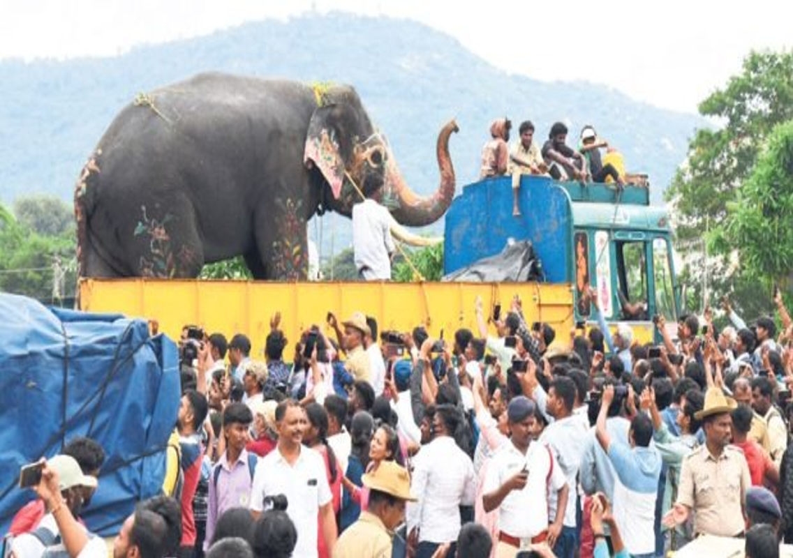 Mysore's Dussehra Elephants Bid Farewell After a Memorable Festival - News Karnataka