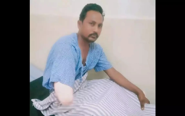 Ox Saves Farmer from Crocodile Attack in Bagalkot District - News Karnataka