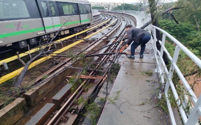 Bengaluru Metro Services Disrupted by Fallen Tree, Operations Restored - News Karnataka