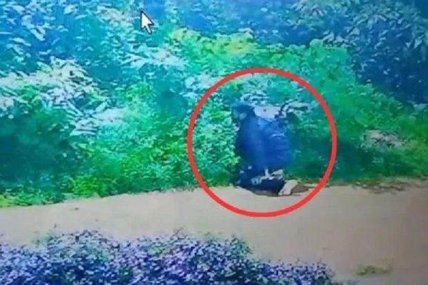 Youth’s Late-Night Break-In Attempts Caught on CCTV in Uppinangady - News Karnataka