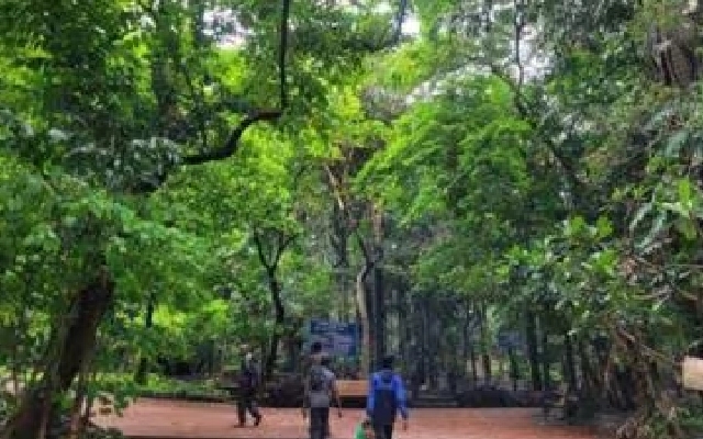 Arms Theft Case Unfolds in Shivamogga Forest Range - News Karnataka