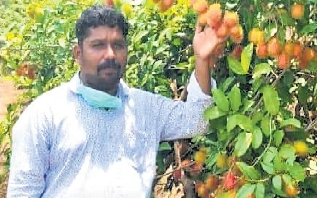 Class 10 Dropout Thrives with Rs 1 Crore Business in Exotic Fruits - News Karnataka