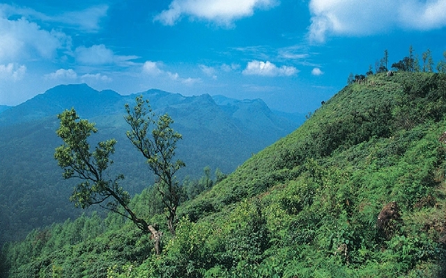 KSTDC Aims to Boost Responsible Tourism in Kodagu with Connect Kodagu Initiative - News Karnataka