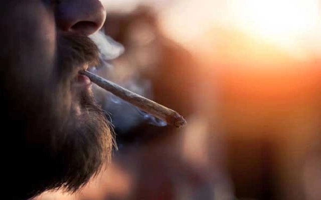 Youth Arrested in Mangaluru for Ganja Use, Others Caught in Surathkal - News Karnataka