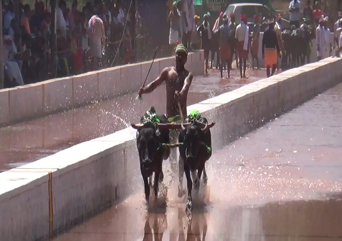 Kambala Committee Enforces New Rules for Discipline and Punctuality - News Karnataka