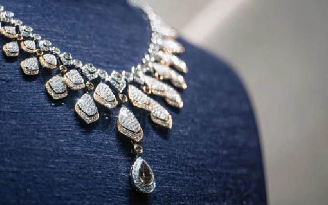 Housemaid Tricks Employer, Escapes with Cash and Diamond Necklace - News Karnataka