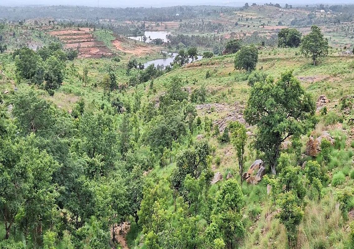 Threat of Mining Endangers Manchekallu Hill's Medicinal Heritage - News Karnataka