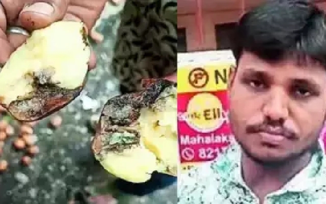 Street Food Vendor Arrested for Selling Unhygienic Pani Puri in Bengaluru - News Karnataka