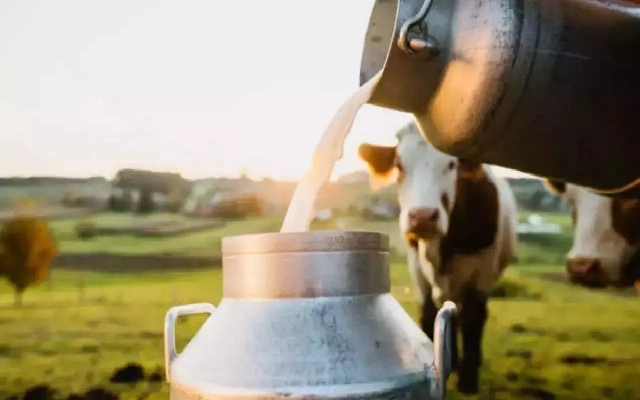 Chamul Reduces Milk Procurement Price by Re 1, Drawing Criticism from Farmer Unions - News Karnataka
