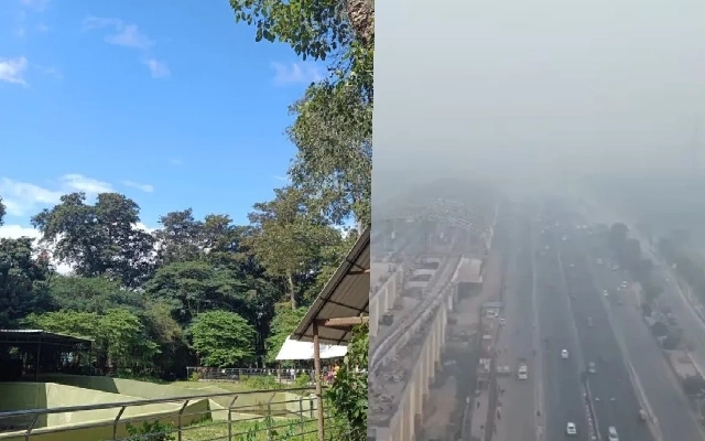 Bengaluru’s Air Quality Wins Hearts Amid Delhi’s Pollution Woes - News Karnataka