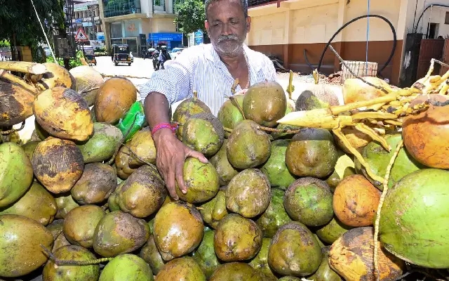 Areca and Coconut Prices: Market Update - News Karnataka