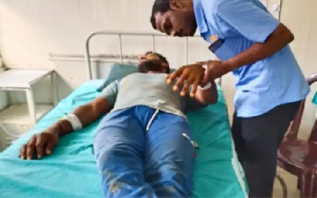 Five Injured in Bee Attack While Working in Manur, Kundapur - News Karnataka