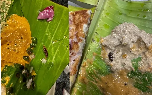 Customer Finds Cockroaches in Breakfast at Hyderabad Tiffin Centre - News Karnataka