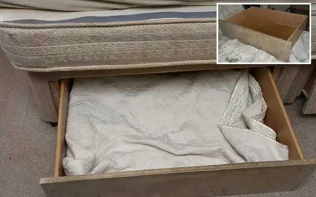 Mother jailed for hiding baby in drawer for three years in severe neglect case - News Karnataka
