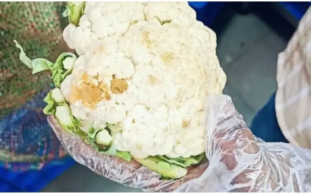 Food Safety Task Force Inspects Hyderabad Restaurants, Flags Multiple Violations - News Karnataka