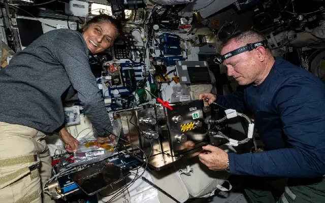 Sunita Williams spearheads lettuce growth experiments on ISS - News Karnataka