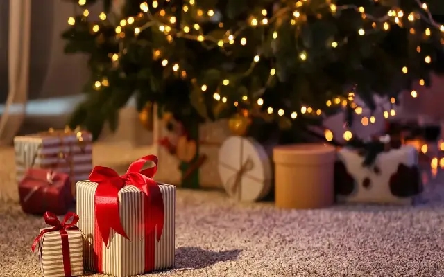 "12 Days of Christmas" gifts see a festive price hike - News Karnataka
